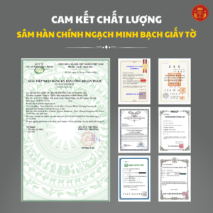Cao hắc sâm 120g - DKG Hàn Quốc