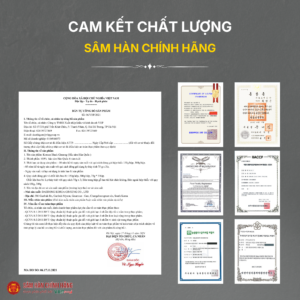 Hắc sâm Hàn Quốc (Korean black ginseng 6Y 16-25 Root) Dạng củ 150g/hộp
