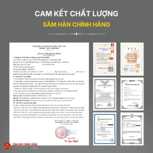 Nước đông trùng hạ thảo cao cấp (Dong Chung Ha Cho Premium) 30ml*60gói/hộp