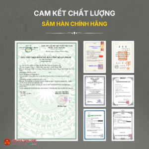 Nước hắc sâm cao cấp (Ginssen Black Ginseng Jung Premium) 10ml*30gói/hộp