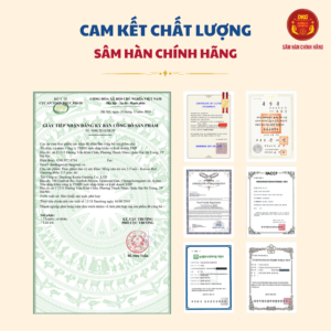 Hồng sâm trẻ em 2-5 tuổi (20ml*30 gói) - Daedong