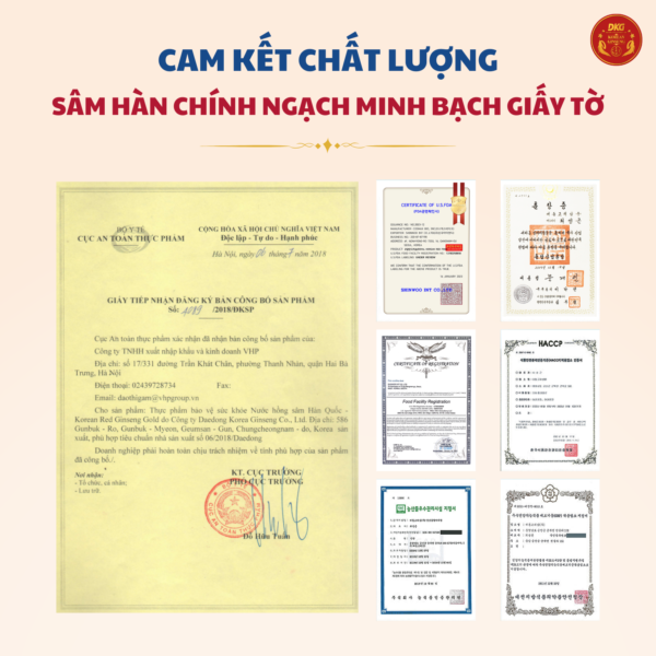 Nước hồng sâm HQ 100% - DKG