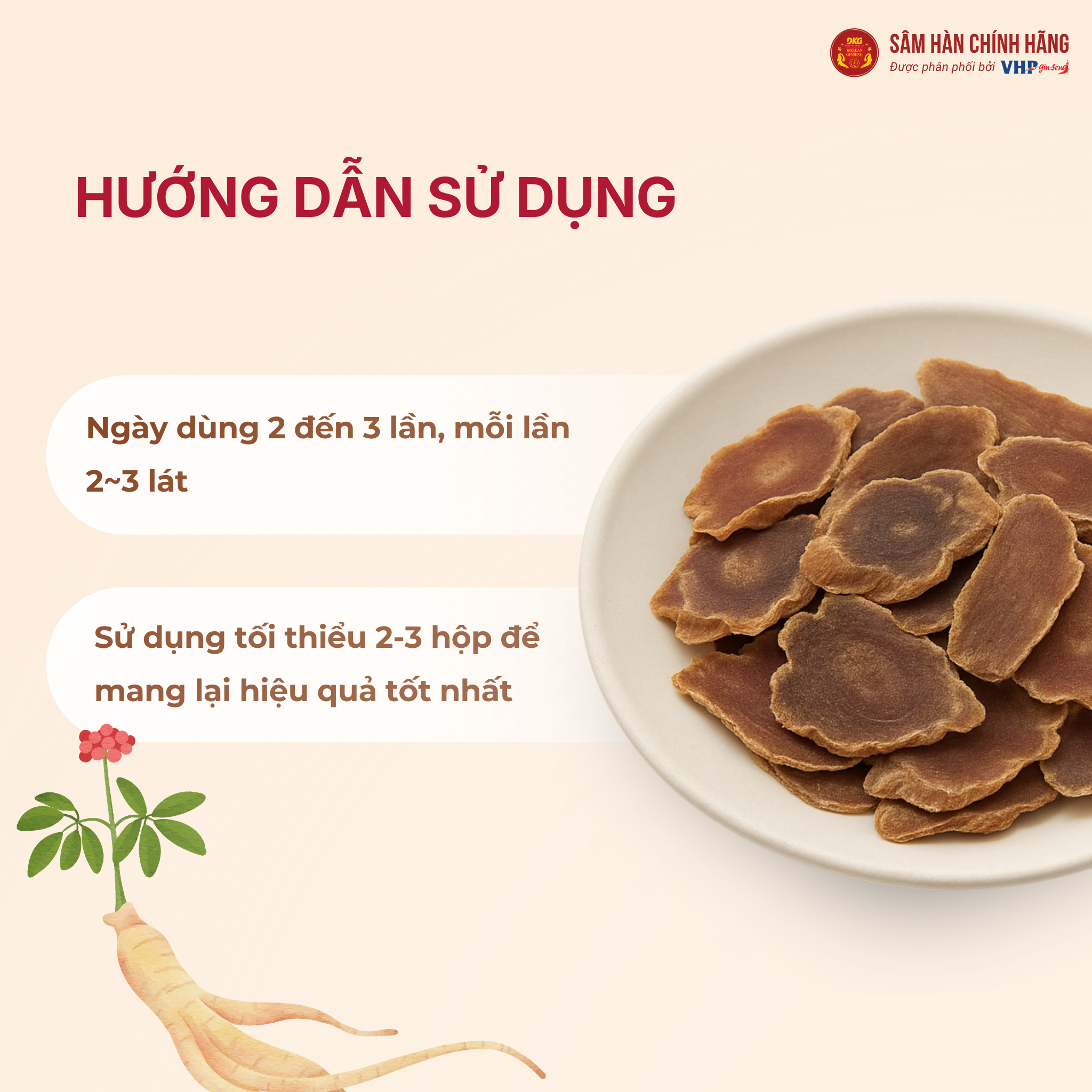 Sâm lát hộp giấy 2 Hồng sâm Hàn Quốc thái lát (Sliced Korea Red Ginseng) 20g*10gói/hộp