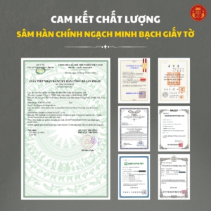 Hắc sâm HQ cao cấp 7mg/g (10ml*30 stick) - Daedong