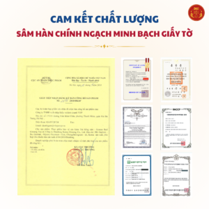Trà hồng sâm 100 gói DKG