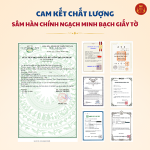 Bột thái cực sâm DKG