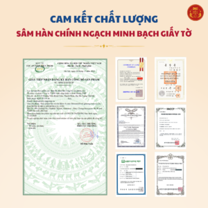 Cao Hồng Sâm lên men (100g x 3 lọ) - Daedong
