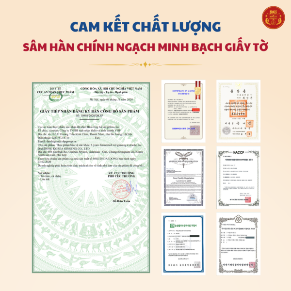 Cao Hồng Sâm lên men (100g x 3 lọ) - Daedong
