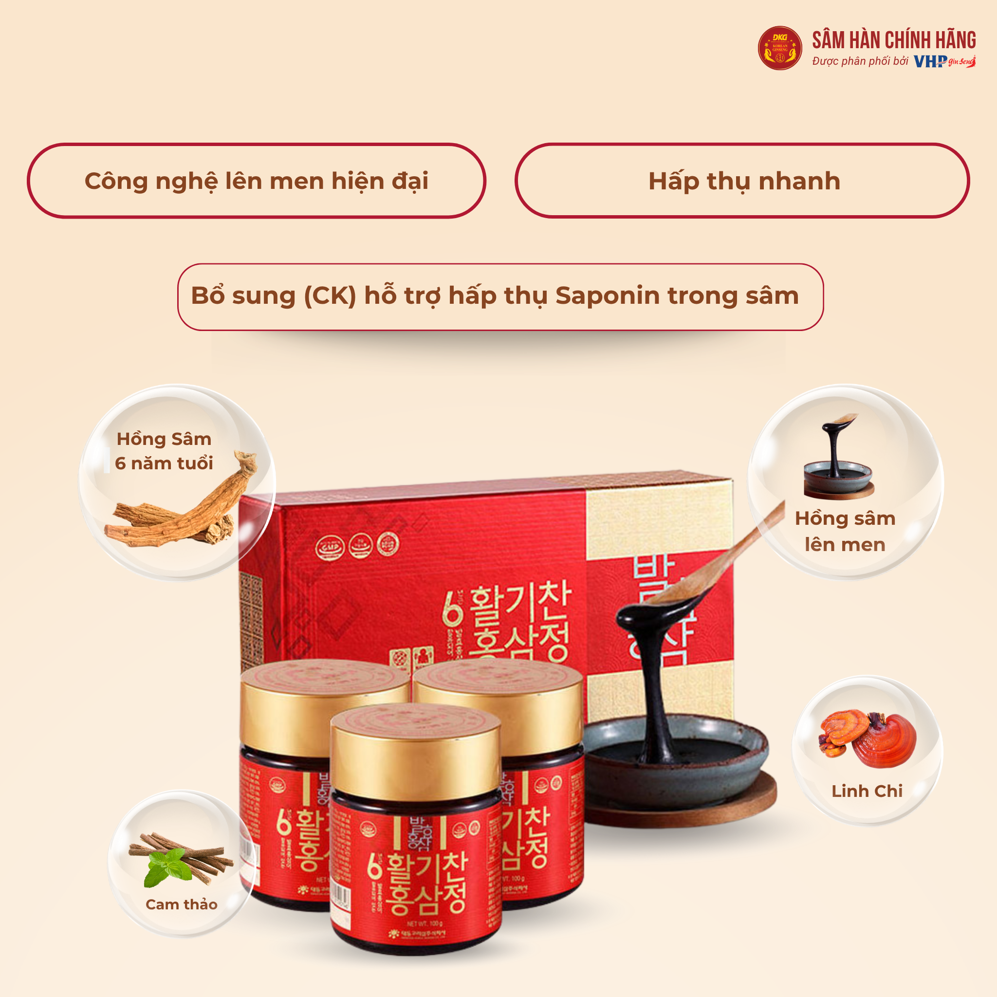 Cao hồng sâm lên men 6 năm tuổi 1 Cao hồng sâm lên men 6 năm tuổi (6 years fermented red ginseng extracts) 100g/lọ