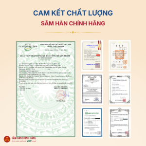 Cao hồng sâm lên men 6 năm tuổi (6 years fermented red ginseng extracts) 100g/lọ