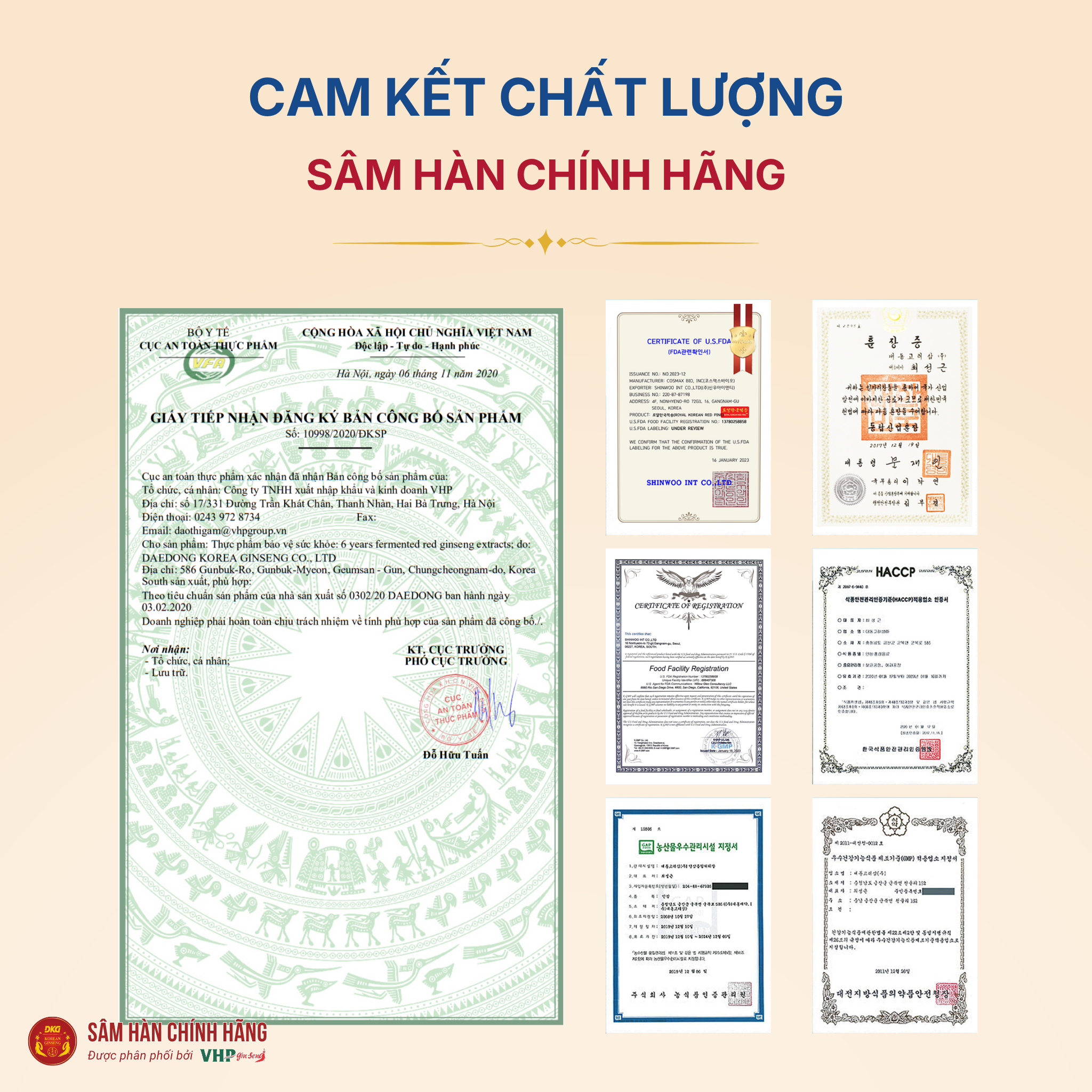Cao hồng sâm lên men 6 năm tuổi 3 Cao hồng sâm lên men 6 năm tuổi (6 years fermented red ginseng extracts) 100g/lọ
