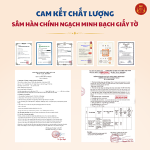 Nấm Linh Chi 500g - Daedong