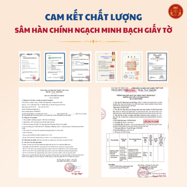 Nấm Linh Chi 500g - Daedong