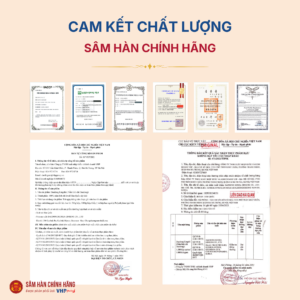 Nấm Linh Chi Daedong (Daedong Lingzhi) sấy khô nguyên tai 500g/tui