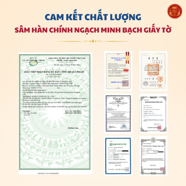 Nước hồng sâm Hàn Quốc cao cấp stick - DKG