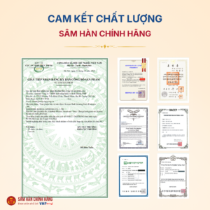 Nước Hồng sâm cao cấp Hàn Quốc (Korean Red Ginseng Stick Premium) 10ml*30gói/hộp