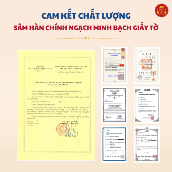 Trà hồng sâm stick DKG