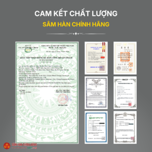 Cao hắc sâm (Ginssen black ginseng essence) 240g/hộp