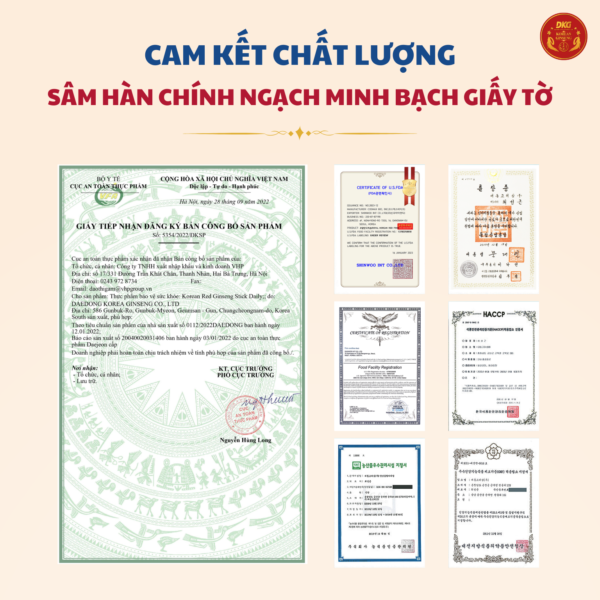 Hồng sâm HQ hàng ngày (10g*60 stick) Daily - Daedong