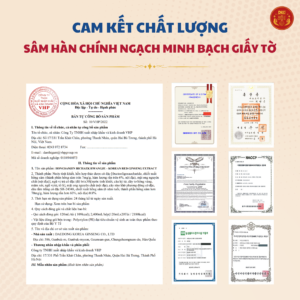 Hồng sâm Hoàng Đế - DKG