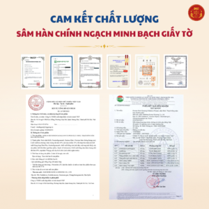 Hồng sâm Hoa chuông DKG