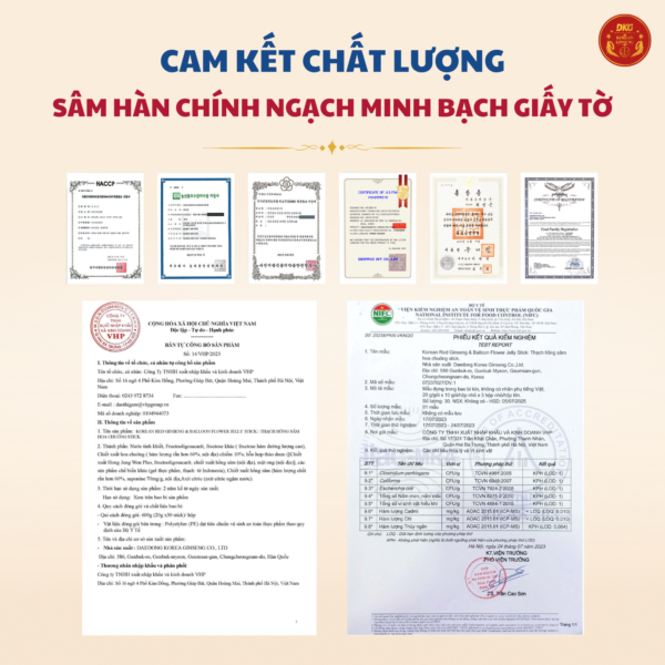 Hồng sâm Hoa chuông DKG