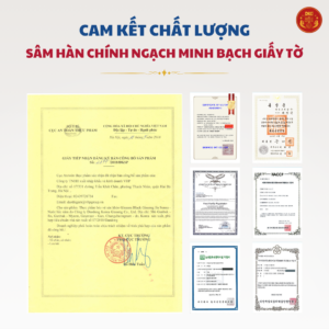 Nước hắc sâm 100% - DKG