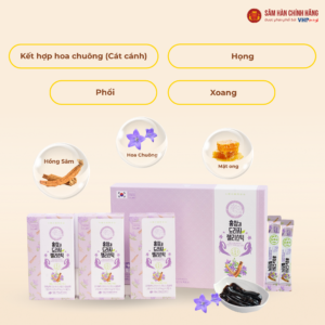 Thạch hồng sâm Hoa chuông Daedong (20g x 30 stick)