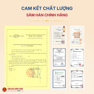 Cao hồng sâm Hàn Quốc (Korean red ginseng extract) 6Y 240g/hộp