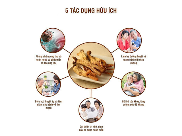 Tác dụng tuyệt vời của sâm 6 năm tuổi