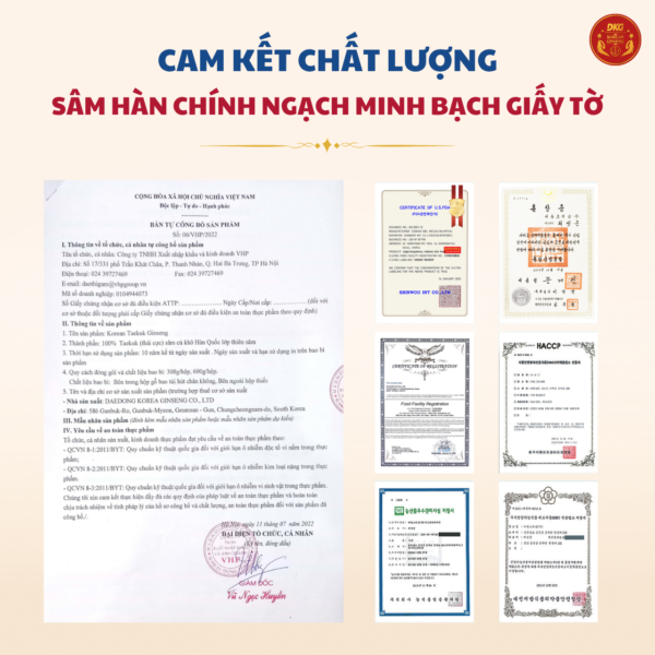 Korean Taekuk Ginseng (Thiên Sâm) 300g số 30 (30 củ) - Daedong