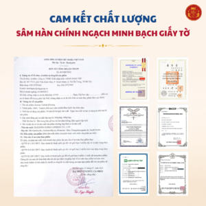 Thái cực sâm củ khô HQ (Thiên sâm) 300g-số 10 (10củ special)