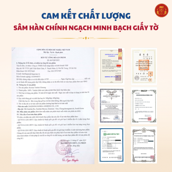 Thái cực sâm củ khô HQ (Thiên sâm) 300g-số 10 (10củ special)