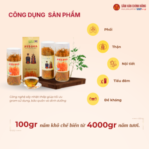 Đông trùng hạ thảo Hoàng gia (Royal Cordyceps Militaris) 100g/hộp