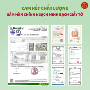 Hồng sâm baby (trẻ em) 2-5 tuổi