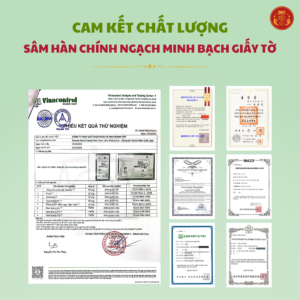 Hồng sâm baby (trẻ em) 6-13 tuổi