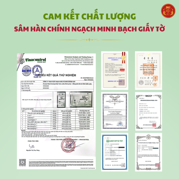 Hồng sâm baby (trẻ em) 6-13 tuổi