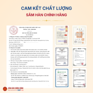 Nước Yến Sào Hồng Sâm DKG (Korean red ginseng Bird's nest Extract DKG) 70ml*30gói/hộp