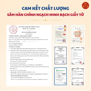 Yến sào hồng sâm DKG