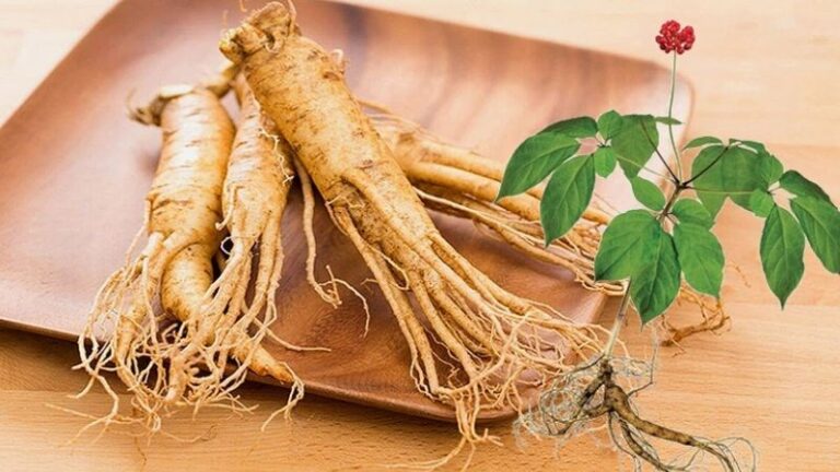Sâm nguyên củ Hàn Quốc: Bồi bổ sức khỏe, vẹn toàn tinh hoa Sâm nguyên củ Hàn Quốc: Bồi bổ sức khỏe, vẹn toàn tinh hoa