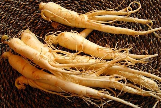 Nhân sâm tươi Hàn Quốc 6 năm tuổi Nhân sâm tươi Hàn Quốc 6 năm tuổi