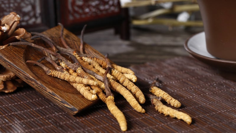 Phân biệt đông trùng hạ thảo tự nhiên và đông trùng nuôi trồng Phân biệt đông trùng hạ thảo tự nhiên và đông trùng nuôi trồng