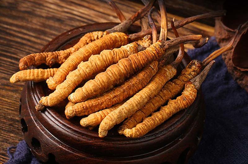 Phổi yếu, ho dai dẳng? Đã đến lúc khám phá bí mật Đông trùng hạ thảo! Phổi yếu, ho dai dẳng? Đã đến lúc khám phá bí mật Đông trùng hạ thảo!