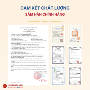 Hồng Sâm Hàn Quốc thái lát (Sliced Korean Red Ginseng) 100g*3 lọ