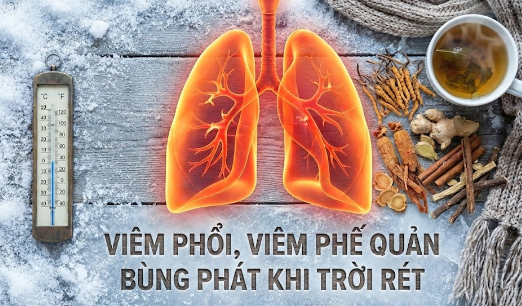 Tăng cường sức đề kháng - Giữ ấm cơ thể bằng những thảo dược tự nhiên