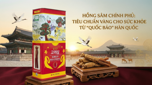 Sâm khô hộp thiếc: Đỉnh cao của nghệ thuật bảo tồn nhân sâm thượng hạng