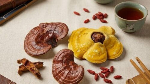 Nấm Linh Chi: Giải pháp tự nhiên giúp tăng cường hệ miễn dịch toàn diện