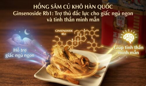 Ginsenoside Rb1 là gì? Tại sao đây là hoạt chất quyết định chất lượng sâm?