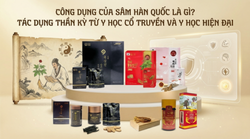 Công dụng của sâm Hàn Quốc là gì? Tác dụng thần kỳ từ y học cổ truyền