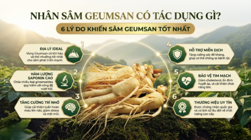 Bí mật giúp nhân sâm Geumsan sở hữu hàm lượng Saponin cao nhất